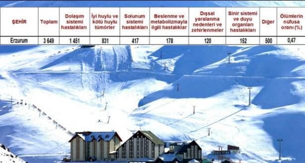 Ölüm oranlarının en yüksek olduğu iller