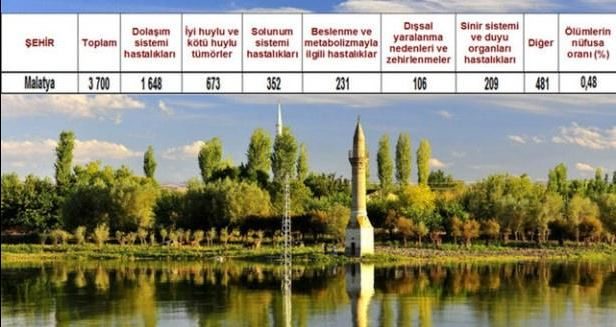 Ölüm oranlarının en yüksek olduğu iller