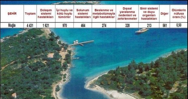Ölüm oranlarının en yüksek olduğu iller