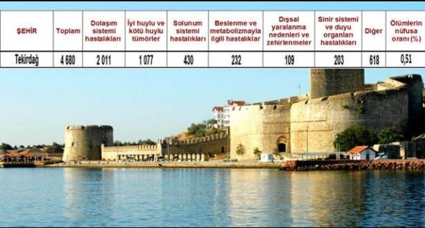 Ölüm oranlarının en yüksek olduğu iller