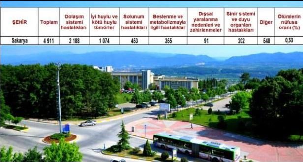 Ölüm oranlarının en yüksek olduğu iller