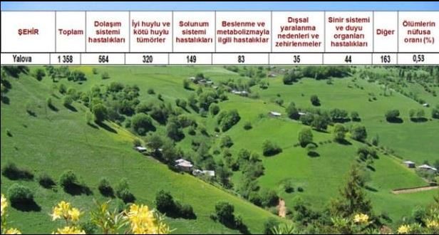 Ölüm oranlarının en yüksek olduğu iller