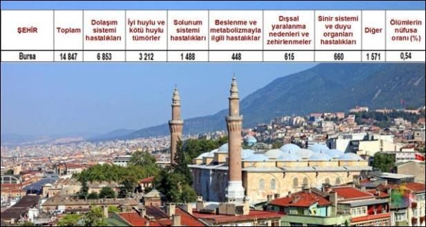 Ölüm oranlarının en yüksek olduğu iller