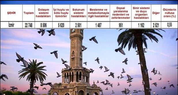 Ölüm oranlarının en yüksek olduğu iller