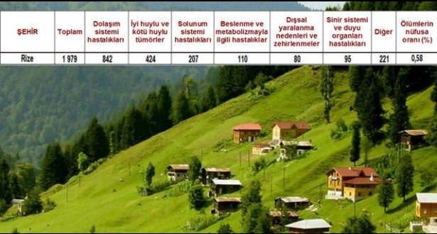 Ölüm oranlarının en yüksek olduğu iller