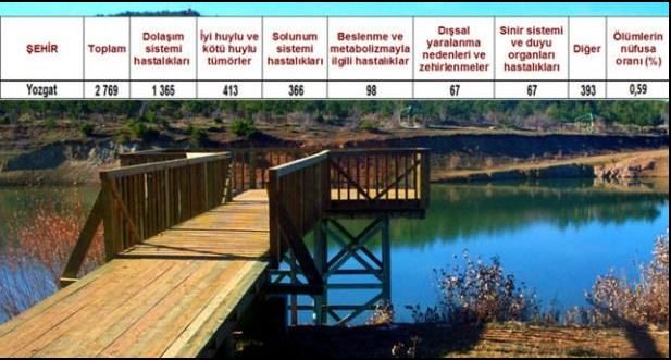Ölüm oranlarının en yüksek olduğu iller