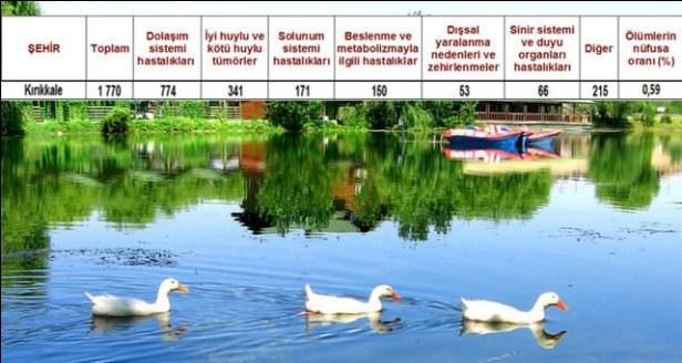 Ölüm oranlarının en yüksek olduğu iller