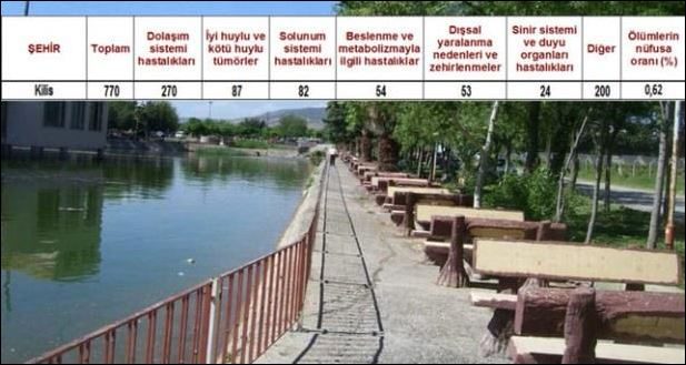 Ölüm oranlarının en yüksek olduğu iller