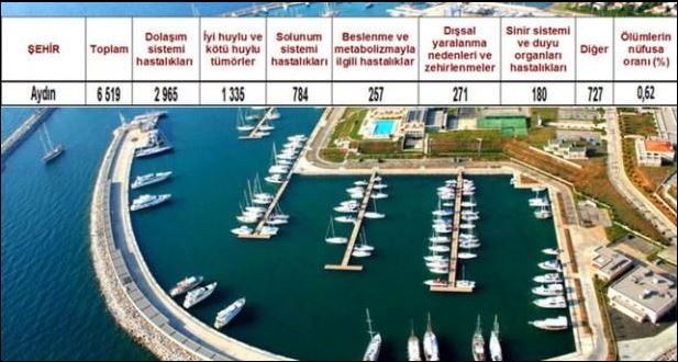Ölüm oranlarının en yüksek olduğu iller