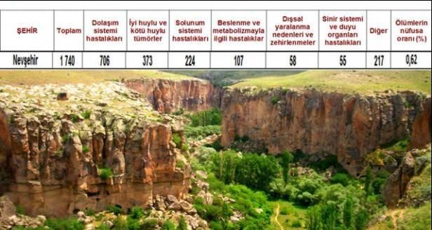 Ölüm oranlarının en yüksek olduğu iller