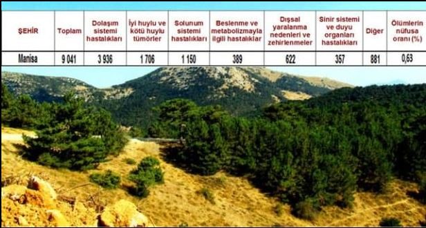 Ölüm oranlarının en yüksek olduğu iller
