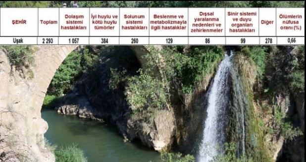 Ölüm oranlarının en yüksek olduğu iller