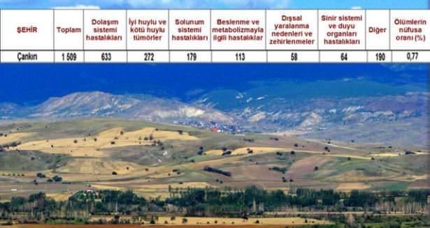 Ölüm oranlarının en yüksek olduğu iller