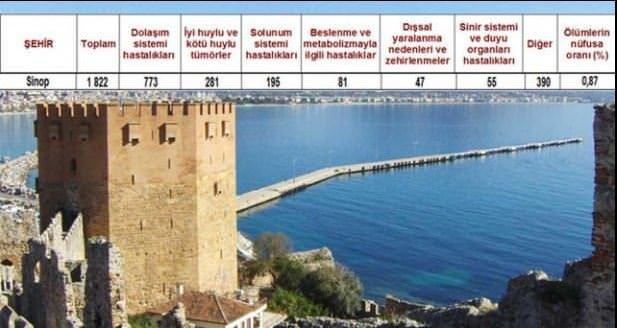Ölüm oranlarının en yüksek olduğu iller