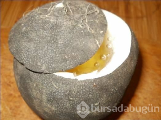 Siyah turpla balı karıştırın!