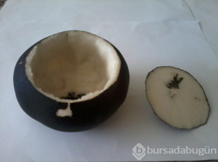 Siyah turpla balı karıştırın!
