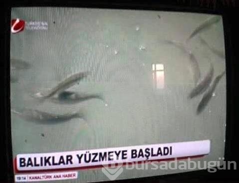 İnanılmaz Türk haberciliğinden...