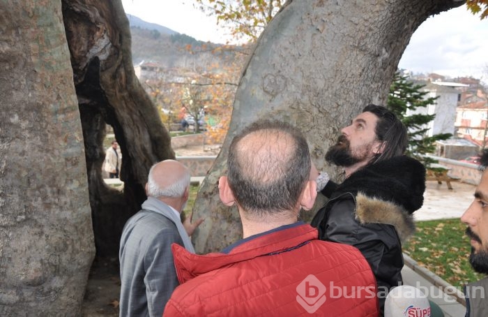 Diriliş ekibi Bursa Geyikli Baba'nın huzurunda	