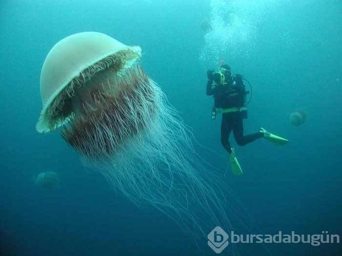 İşte tam "o an"lar