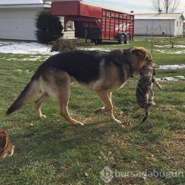 Pazartesi sendromuna ilaç fotoğraflar