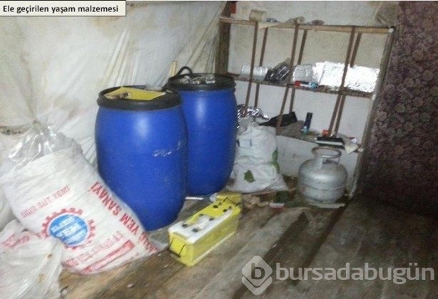 Tendürek'te PKK'ya büyük darbe