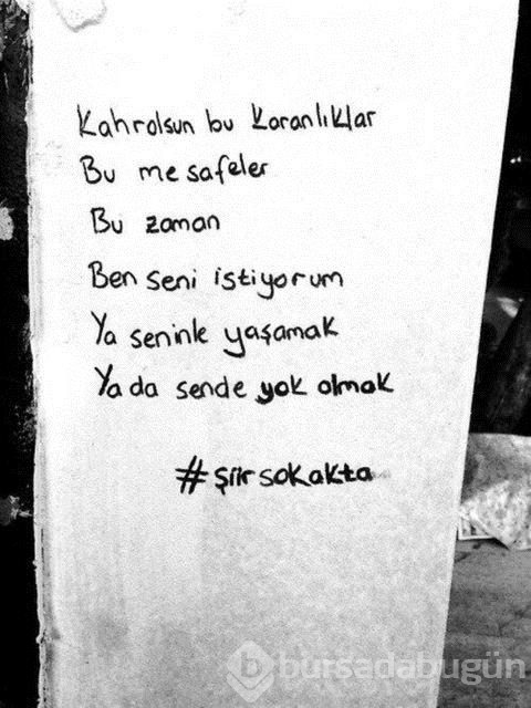 Şiir sokakta fırtınası