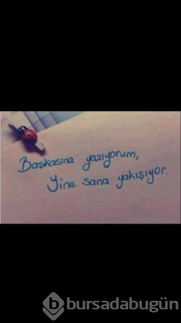 Şiir sokakta fırtınası