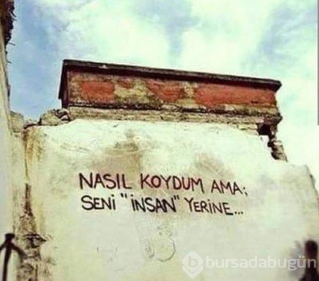 Şiir sokakta fırtınası