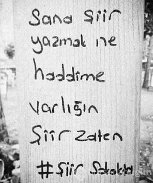 Şiir sokakta fırtınası