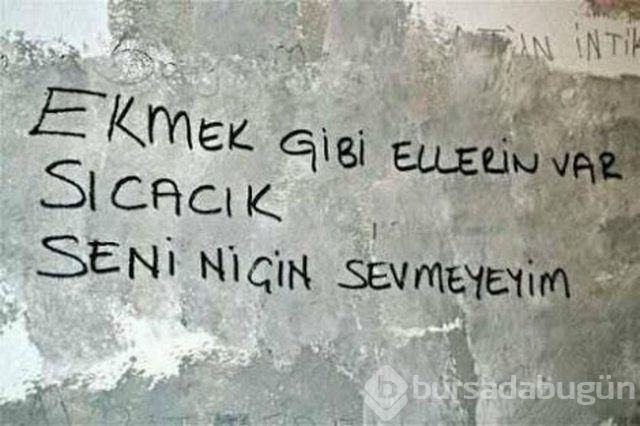 Şiir sokakta fırtınası