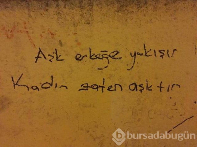 Şiir sokakta fırtınası