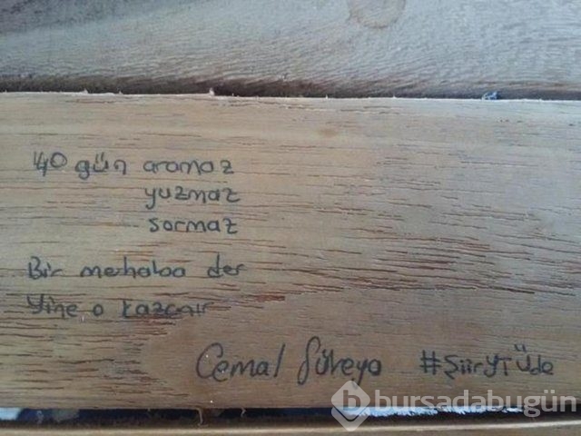 Şiir sokakta fırtınası