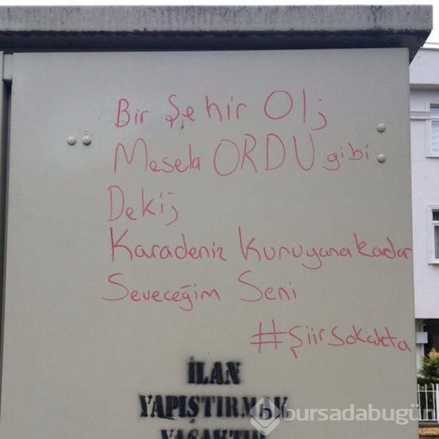 Şiir sokakta fırtınası