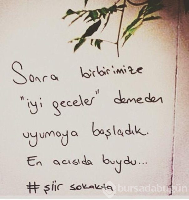 Şiir sokakta fırtınası