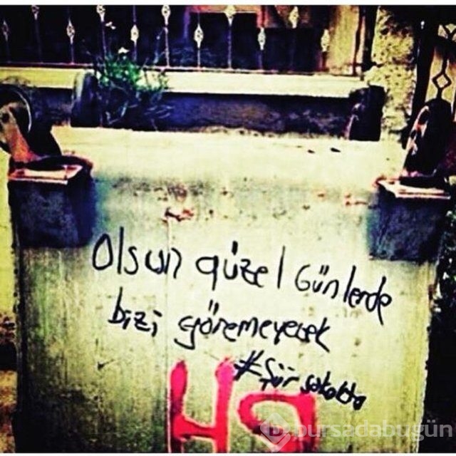 Şiir sokakta fırtınası