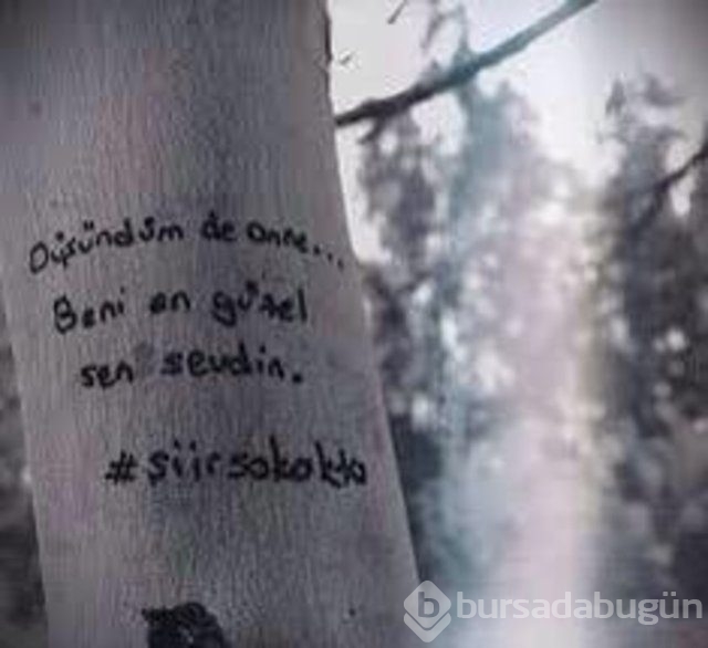 Şiir sokakta fırtınası