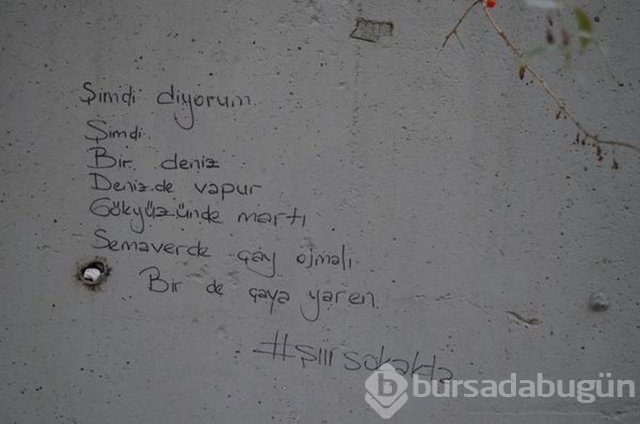 Şiir sokakta fırtınası