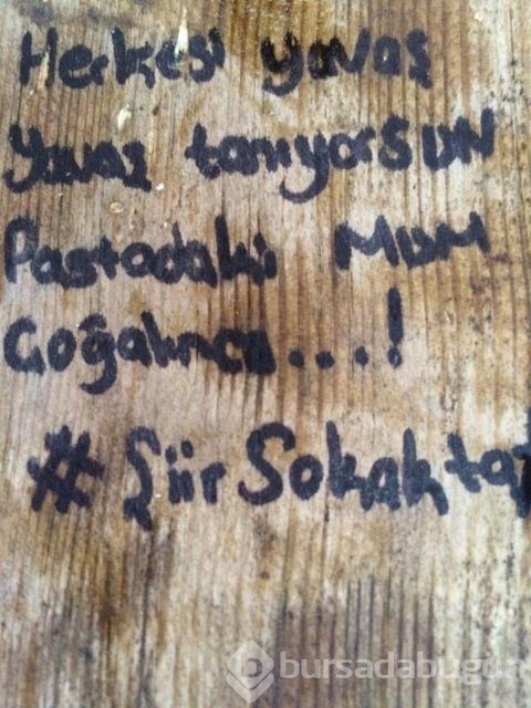 Şiir sokakta fırtınası