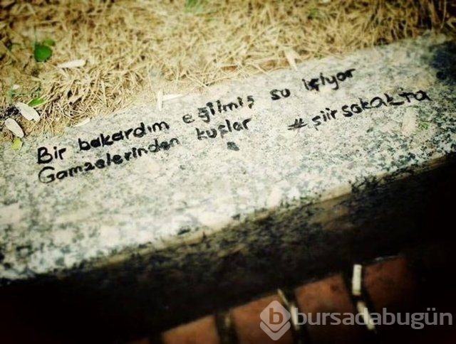 Şiir sokakta fırtınası