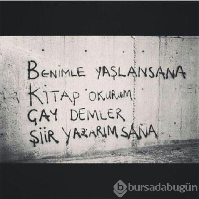 Şiir sokakta fırtınası