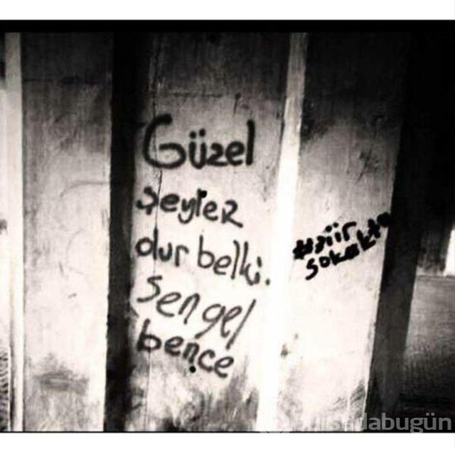 Şiir sokakta fırtınası