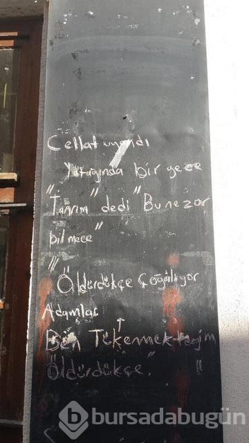 Şiir sokakta fırtınası