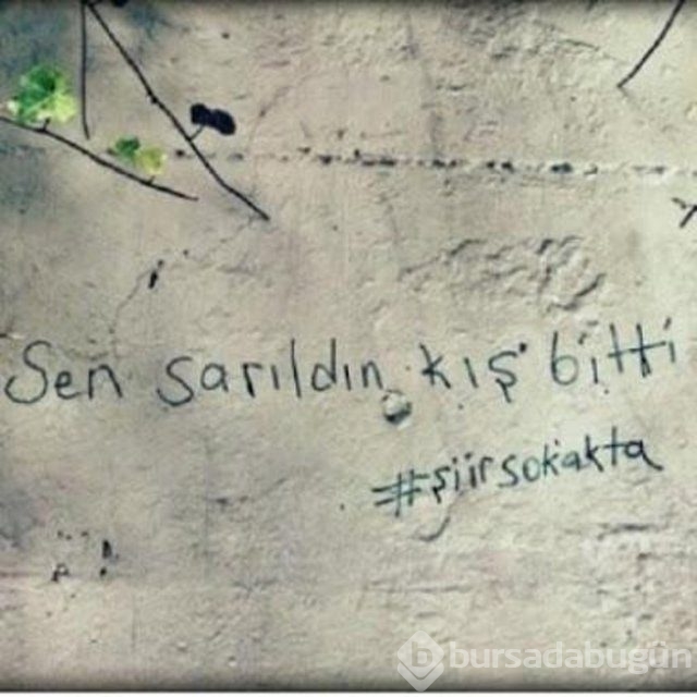 Şiir sokakta fırtınası