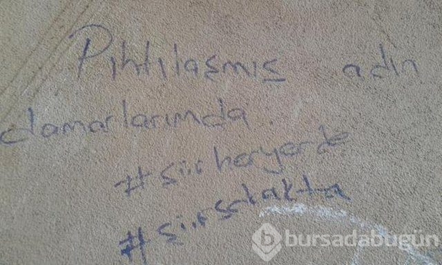 Şiir sokakta fırtınası