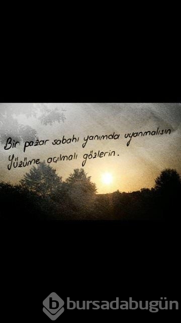 Şiir sokakta fırtınası