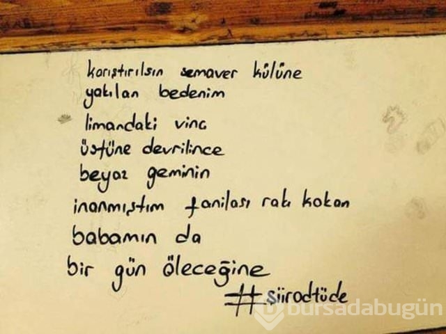 Şiir sokakta fırtınası