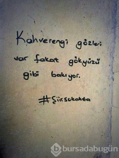 Şiir sokakta fırtınası