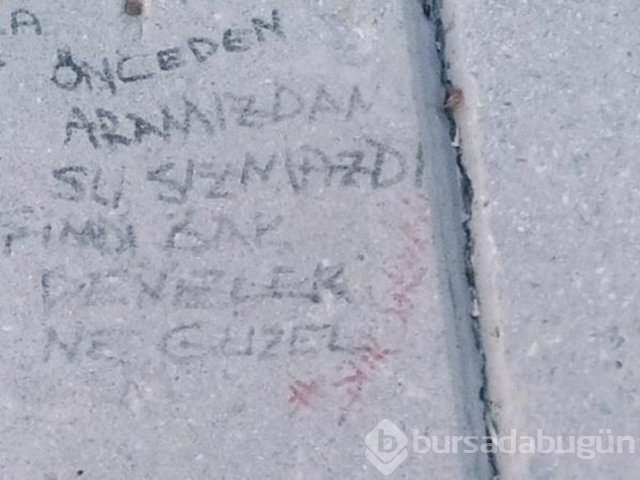 Şiir sokakta fırtınası