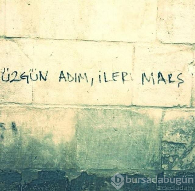 Şiir sokakta fırtınası
