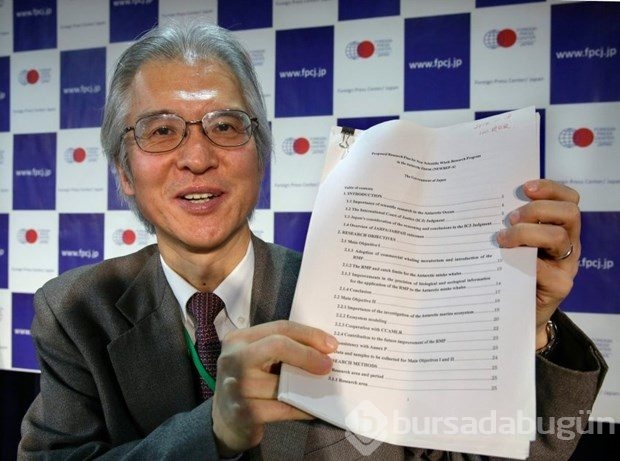 Uluslararası yasak kararına rağmen Japonya balina katliamına başlıyor
